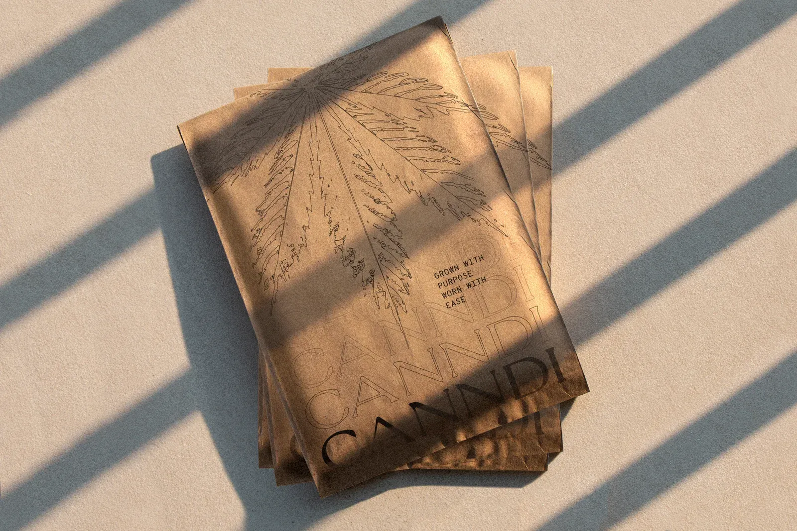 Canndi kraft mailer